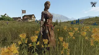 告别选择困难症！大话西游私服服务器推荐：总有一款适合你！